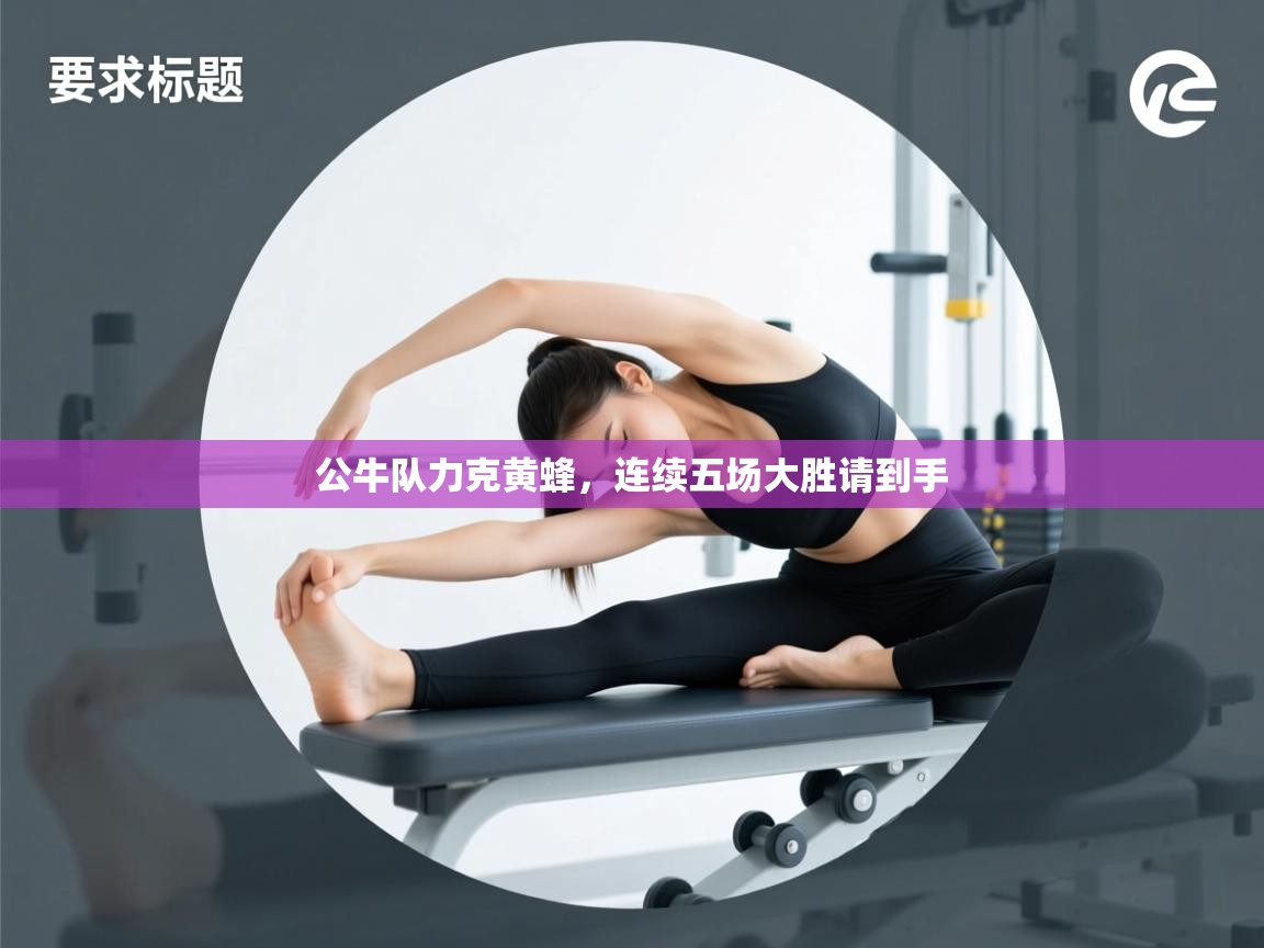 公牛队力克黄蜂，连续五场大胜请到手  第1张