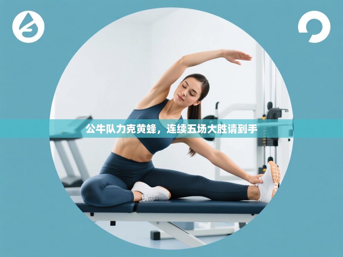 公牛队力克黄蜂，连续五场大胜请到手  第2张