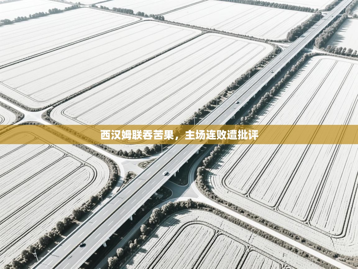 西汉姆联吞苦果，主场连败遭批评  第1张