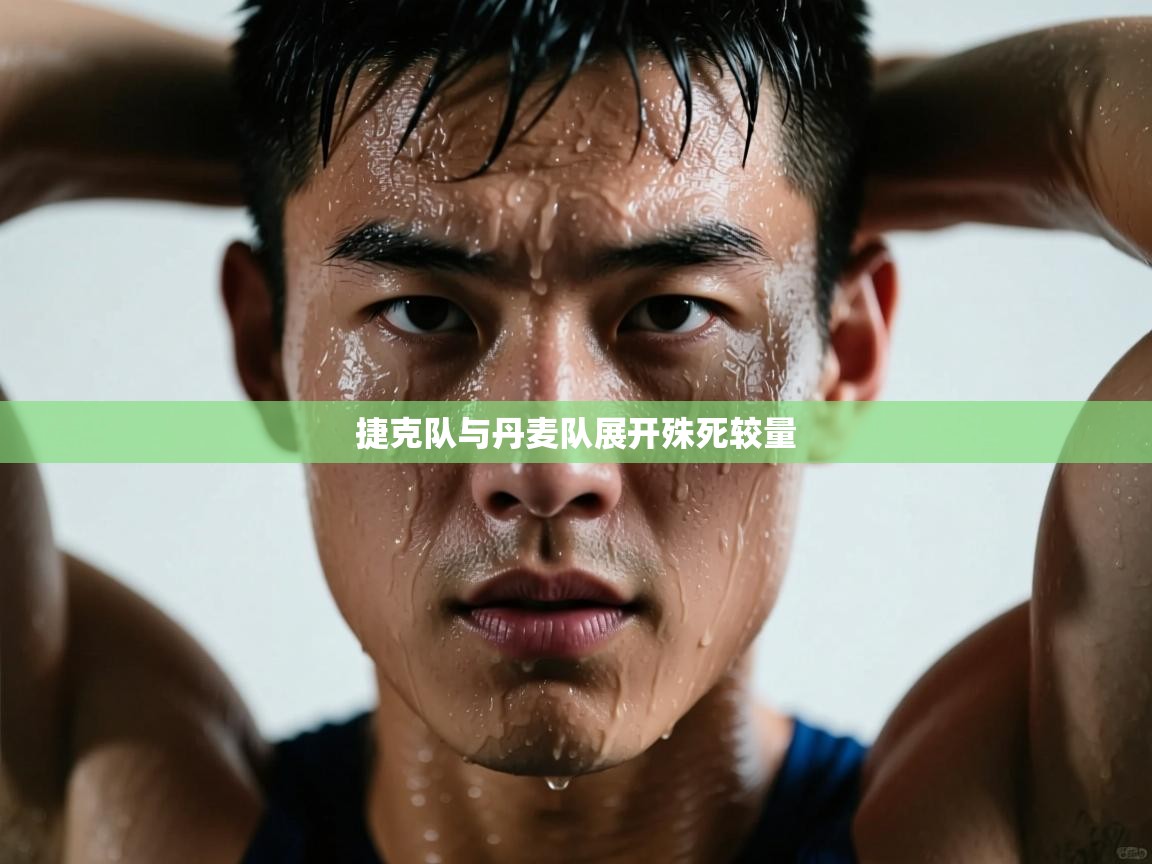 捷克队与丹麦队展开殊死较量  第2张