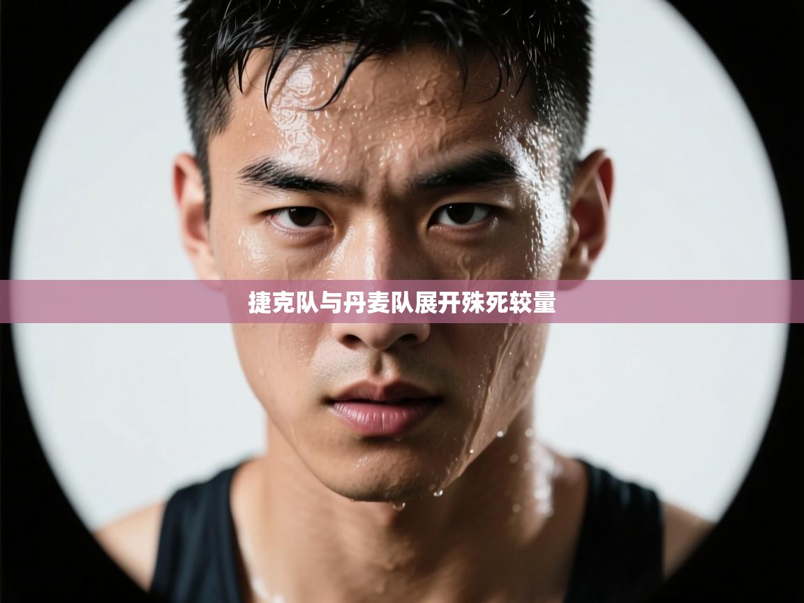 捷克队与丹麦队展开殊死较量  第1张